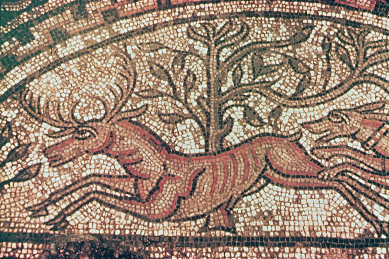 Pavimento di Hinton St. Mary (dettaglio) c.350 d.C. da Roman
