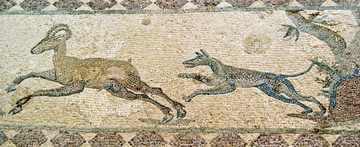 Scena di caccia, Casa di Dioniso, Paphos, Cipro da Roman