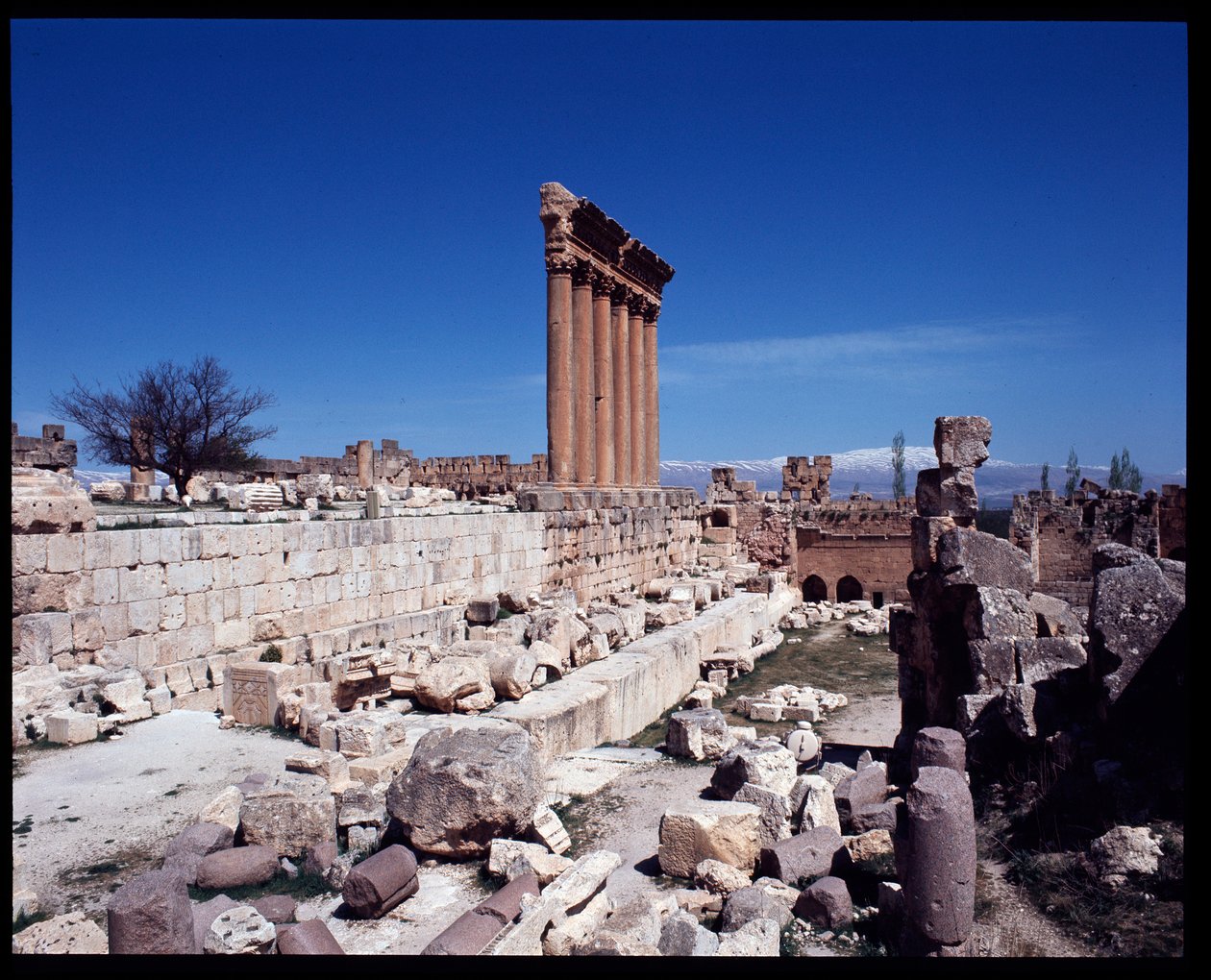 Rovine del tempio di Giove da Roman