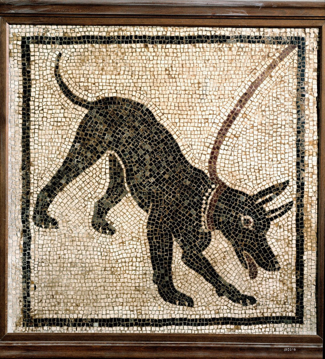 Arte romana: "cave canem" da Roman