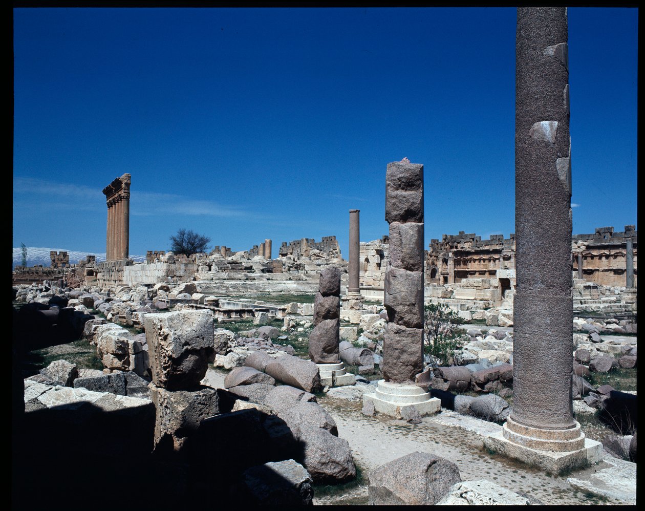 Le sei colonne del Tempio di Giove da Roman