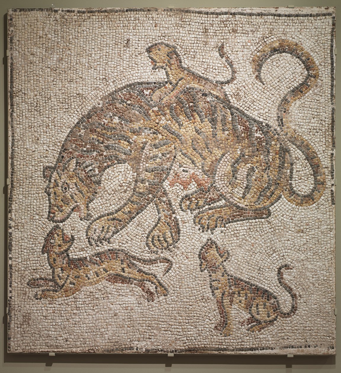 Tigre e cuccioli, c.300 d.C. da Roman