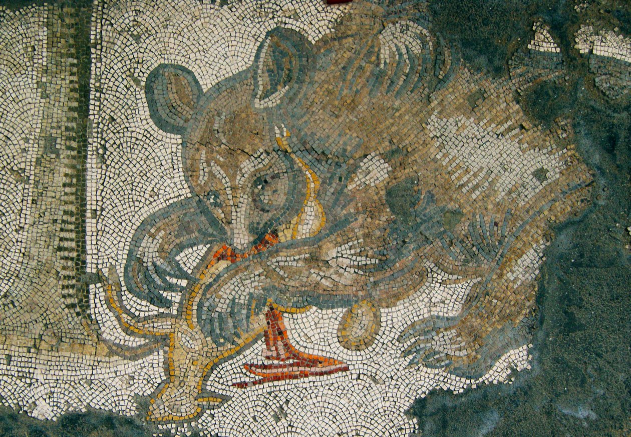 Immagine sconosciuta da Roman