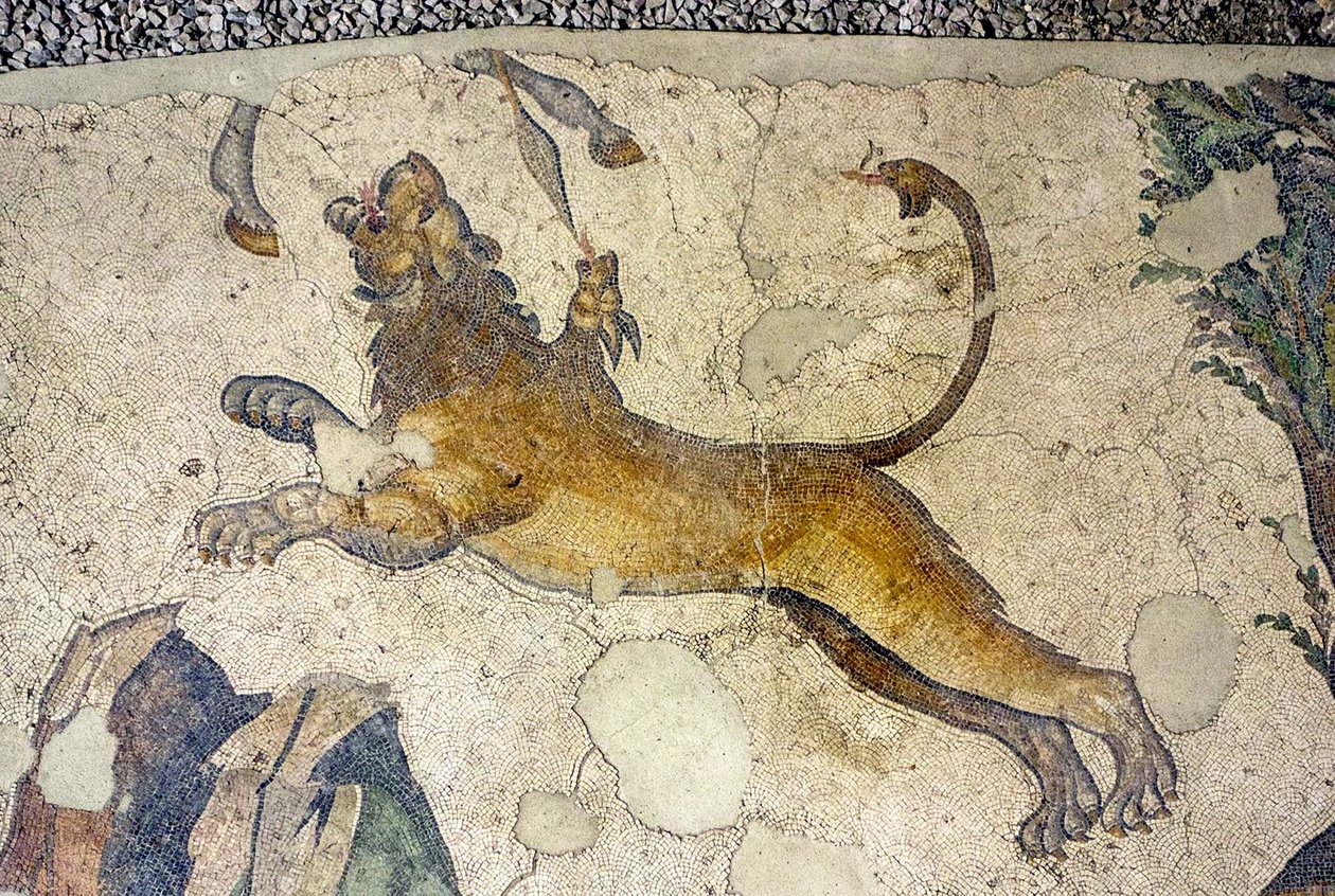 Immagine sconosciuta da Roman