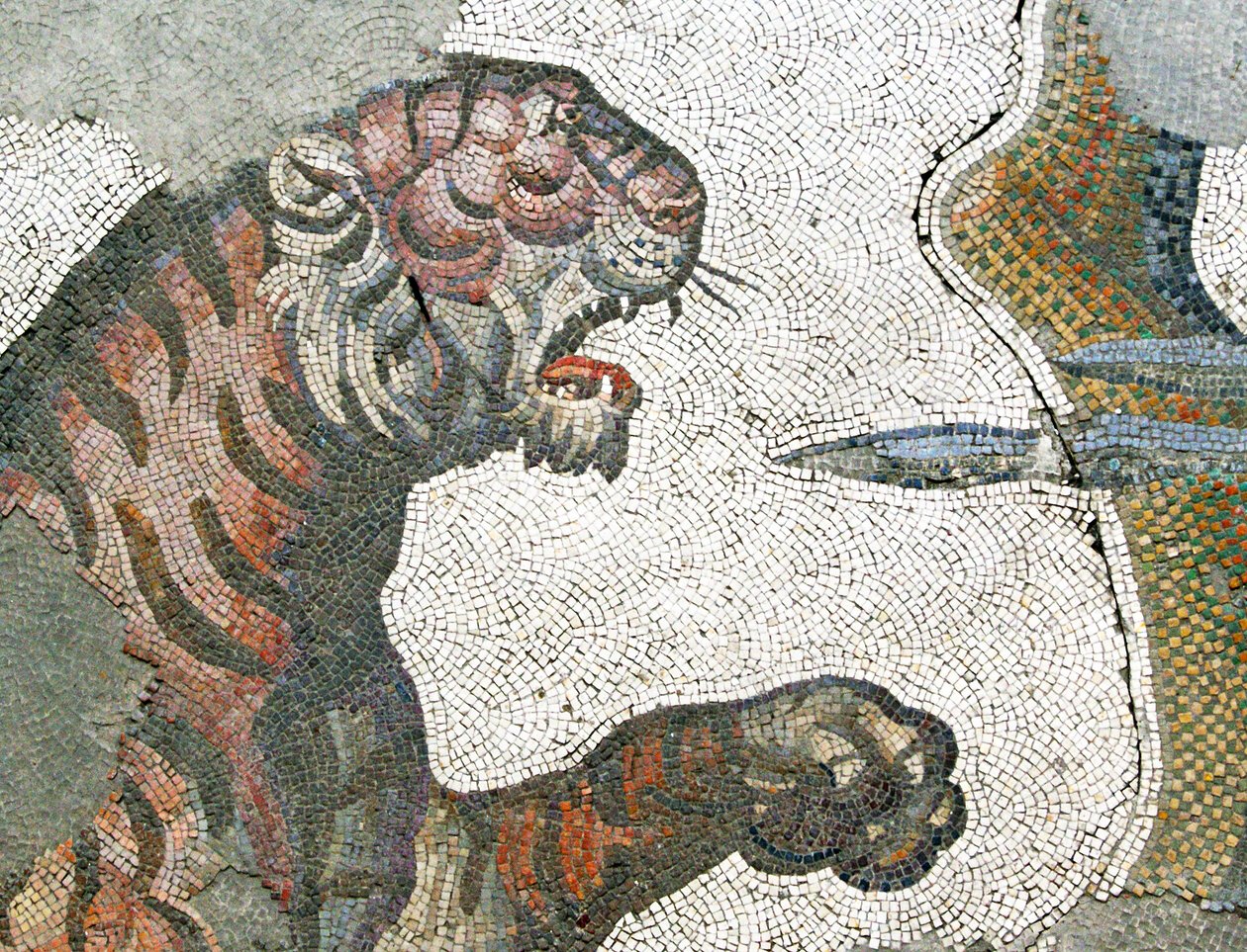 Immagine sconosciuta da Roman