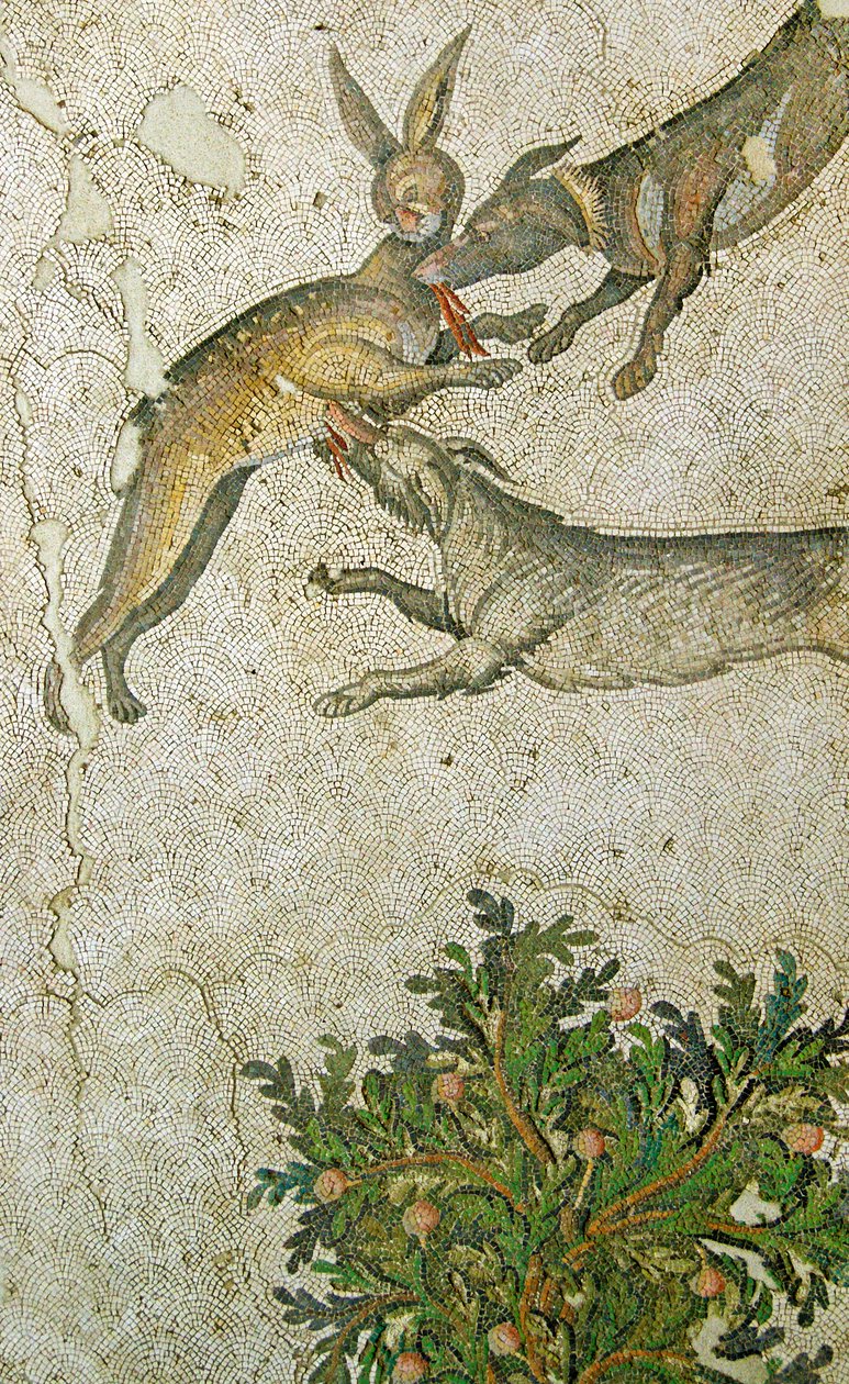 Immagine sconosciuta da Roman
