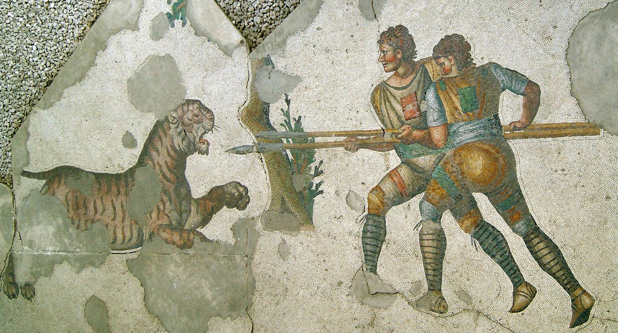 Immagine sconosciuta da Roman