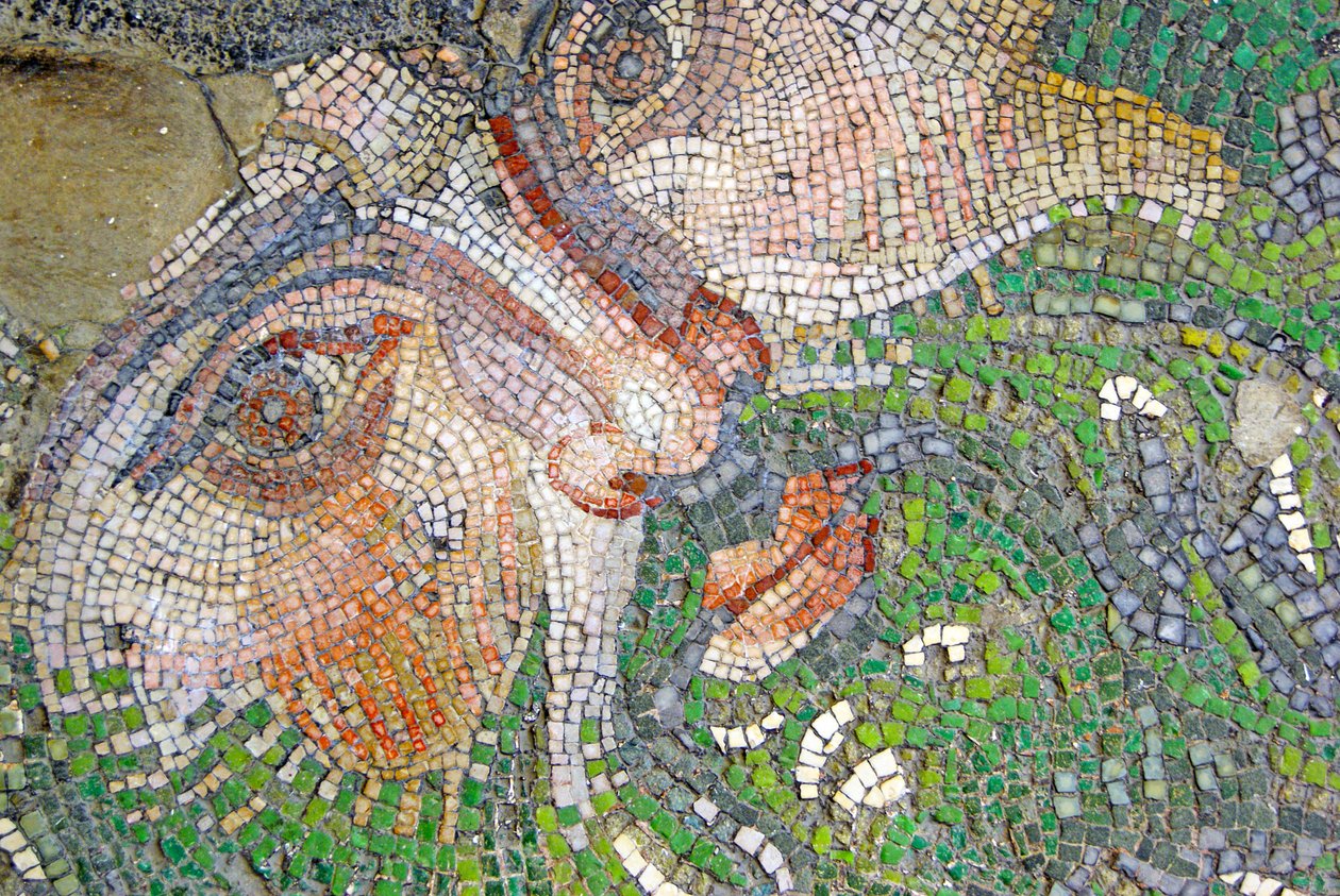 Immagine sconosciuta da Roman