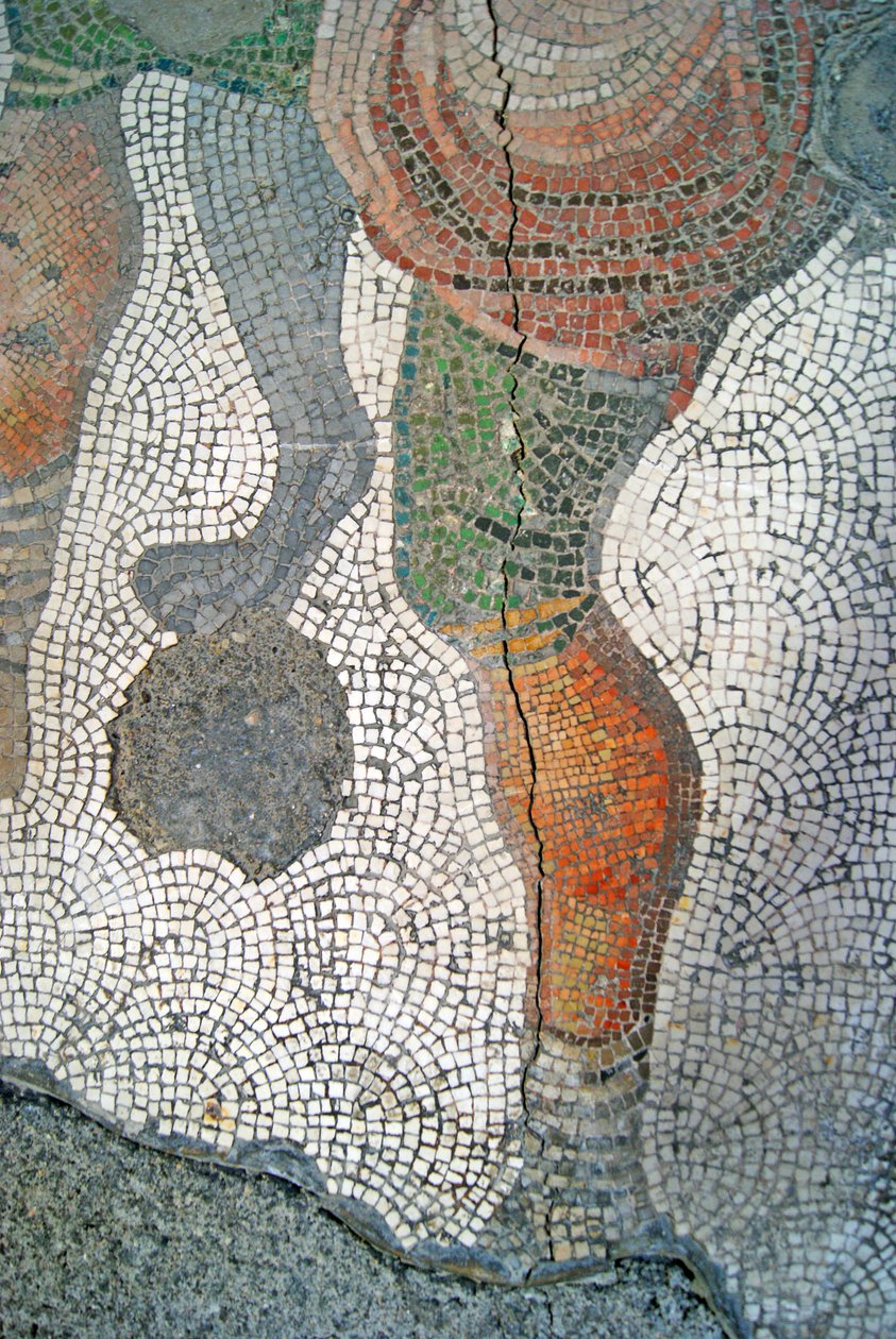 Immagine sconosciuta da Roman