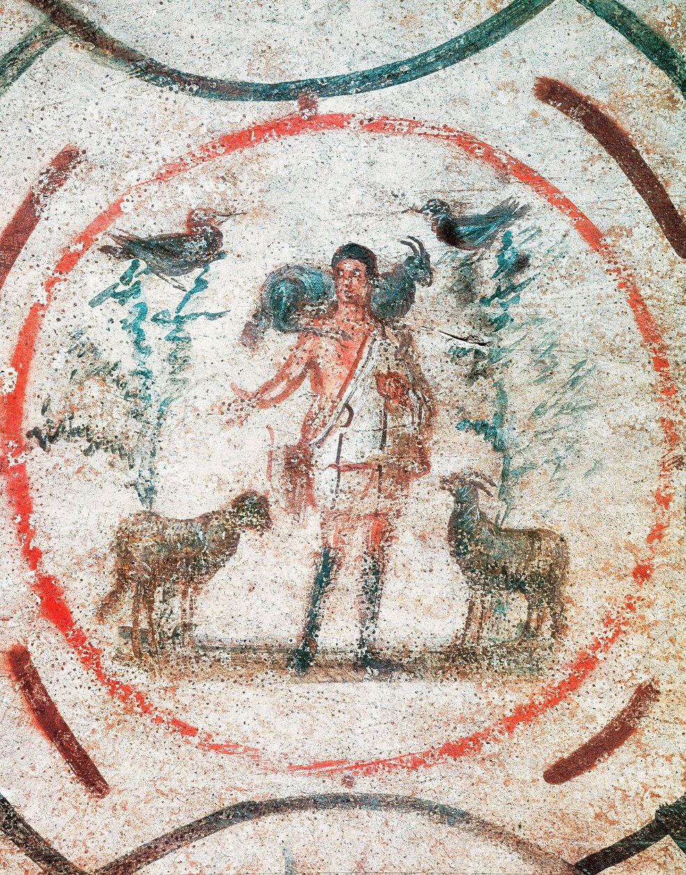Immagine sconosciuta da Roman