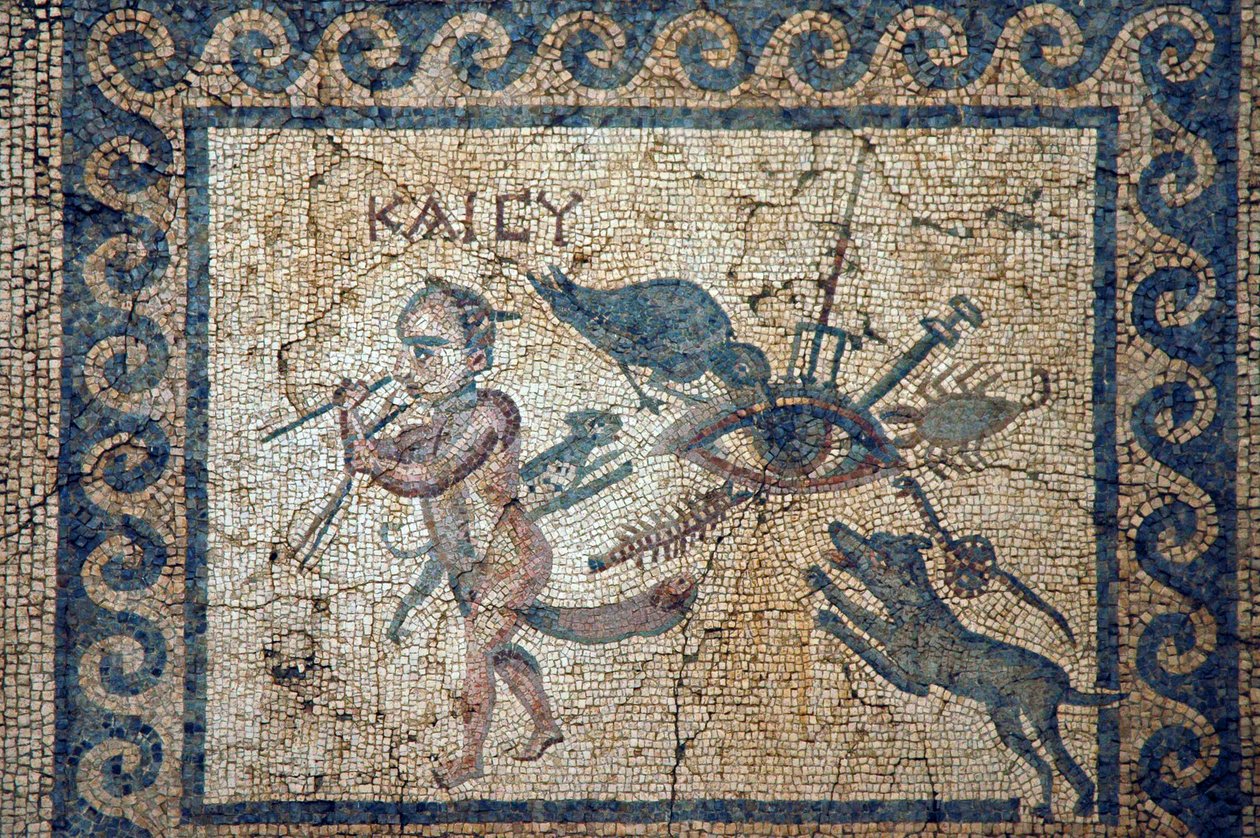 Immagine sconosciuta da Roman