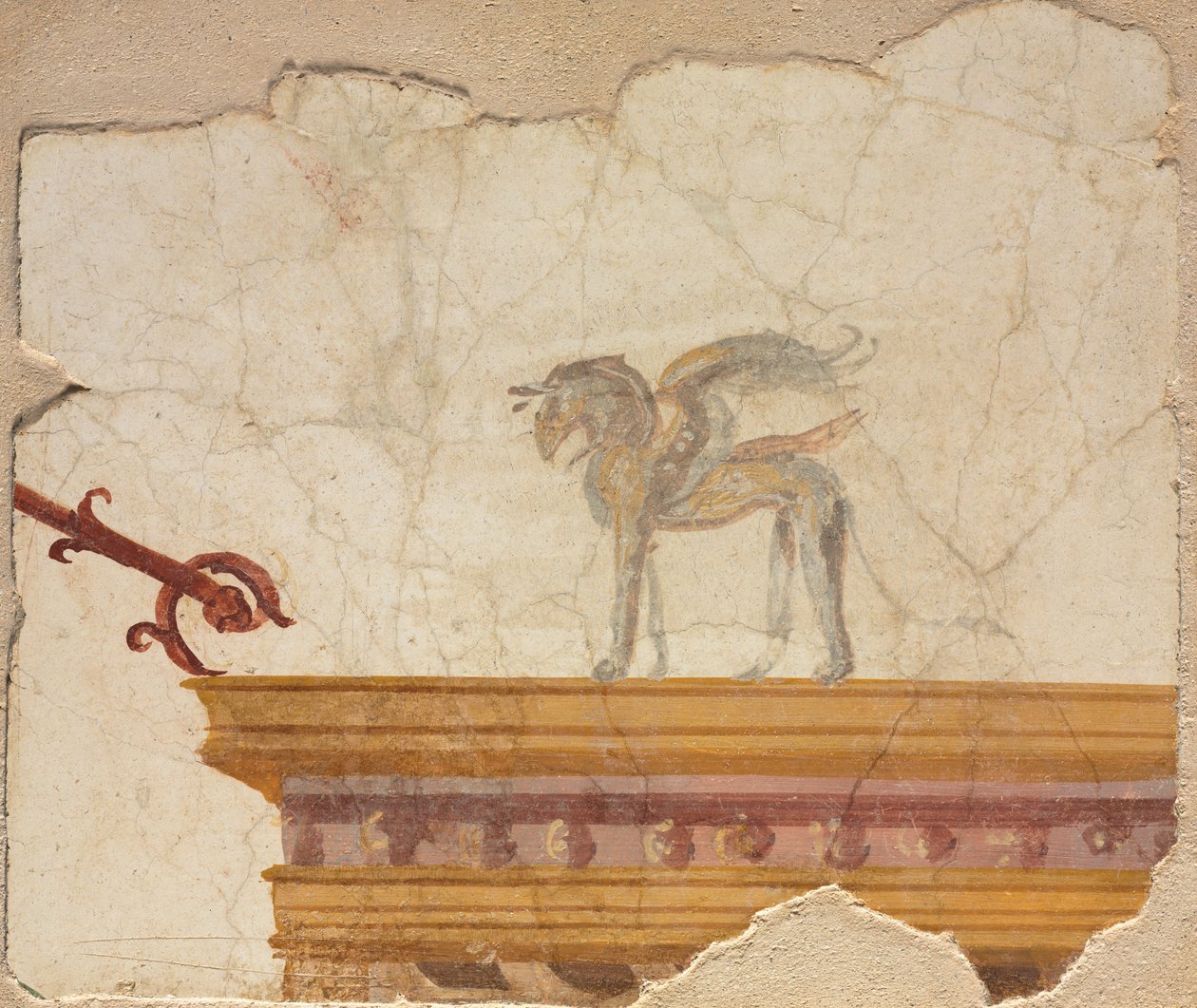 Grifone sopra l
