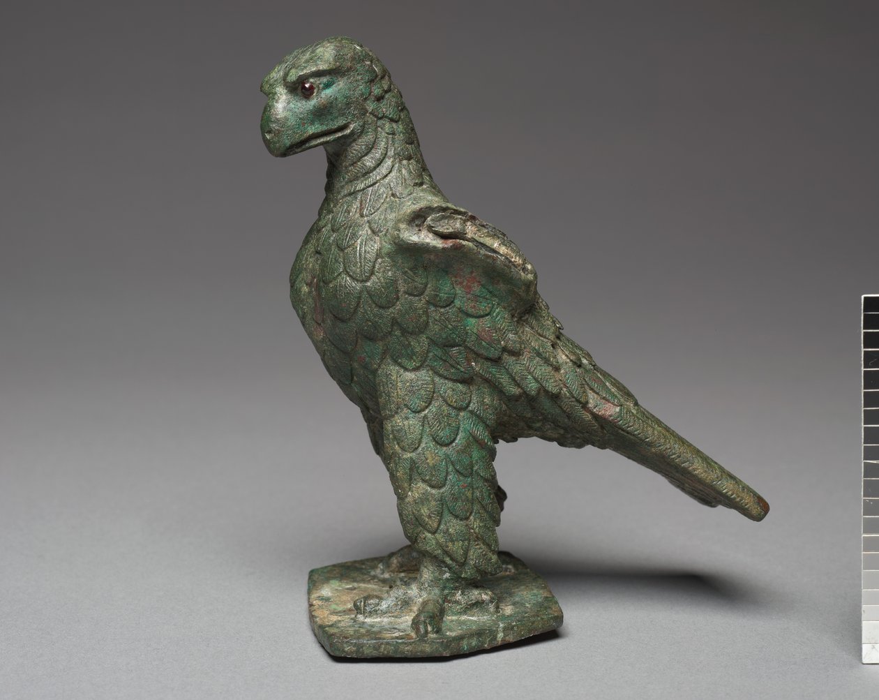 Aquila Imperiale, 100 a.C.-100 da Roman Imperial Period