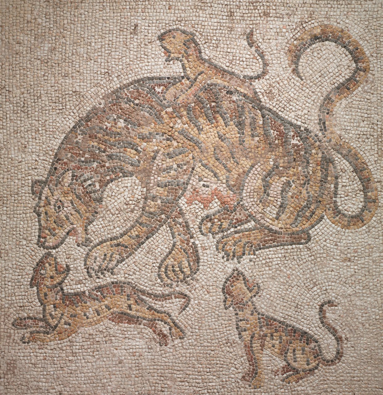 Tigre e cuccioli, 300 d.C. da Roman Imperial Period