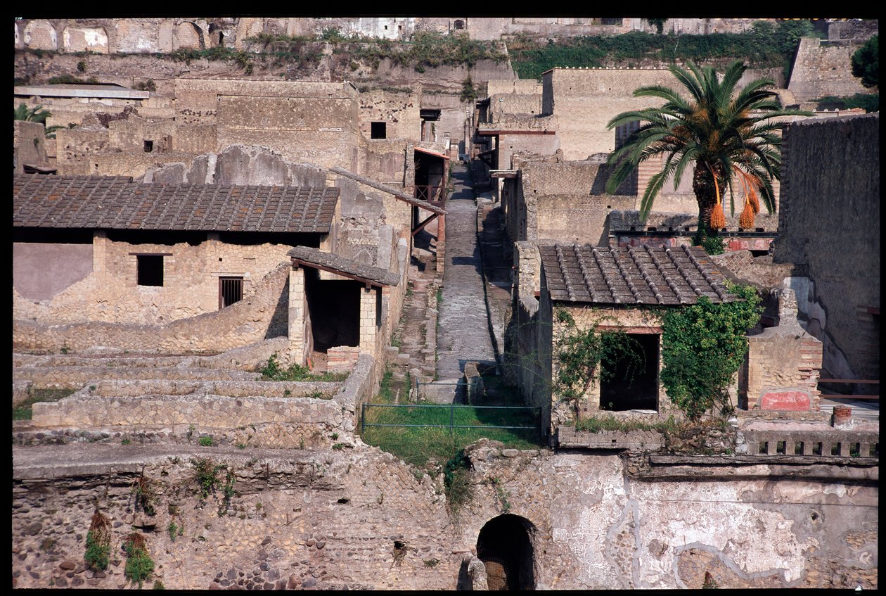 Cardo IV, V secolo a.C.-I secolo d.C. da Roman Roman