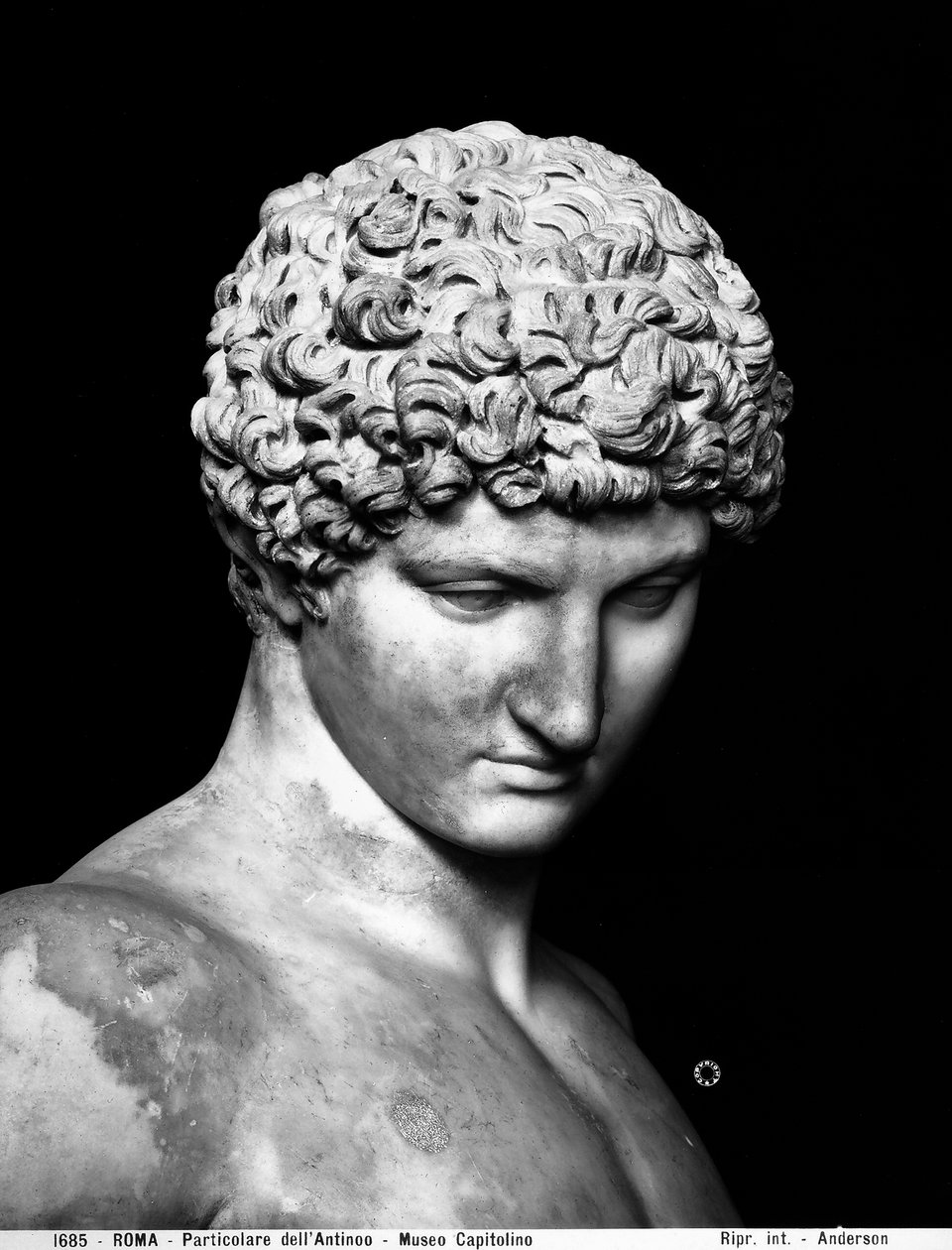 Antinoo (dettaglio) da Roman Roman
