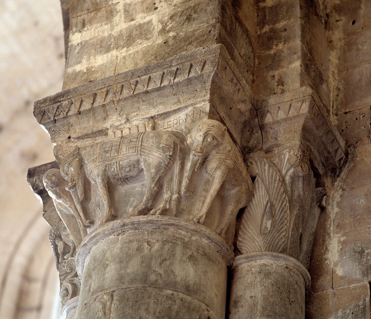 Elefanti da Romanesque