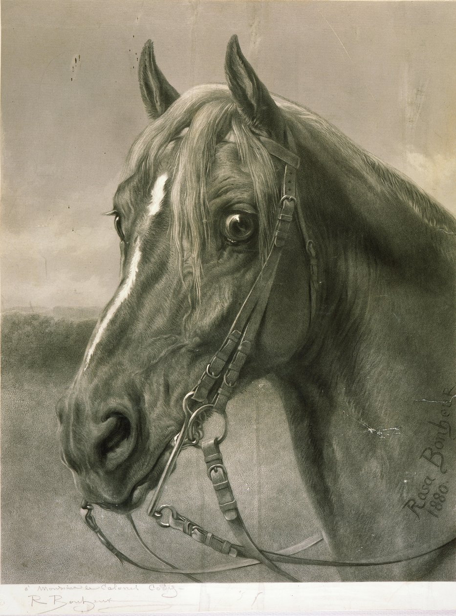 A Monsieur le Colonel Cody da Rosa Bonheur