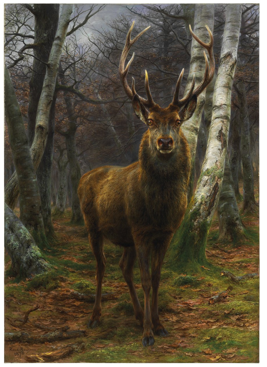 Re della Foresta, 1878 da Rosa Bonheur