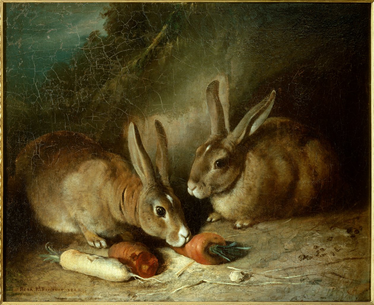Conigli da Rosa Bonheur