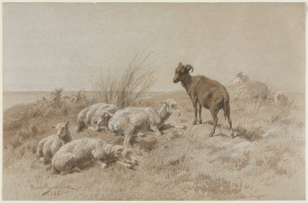 Pecore da Rosa Bonheur