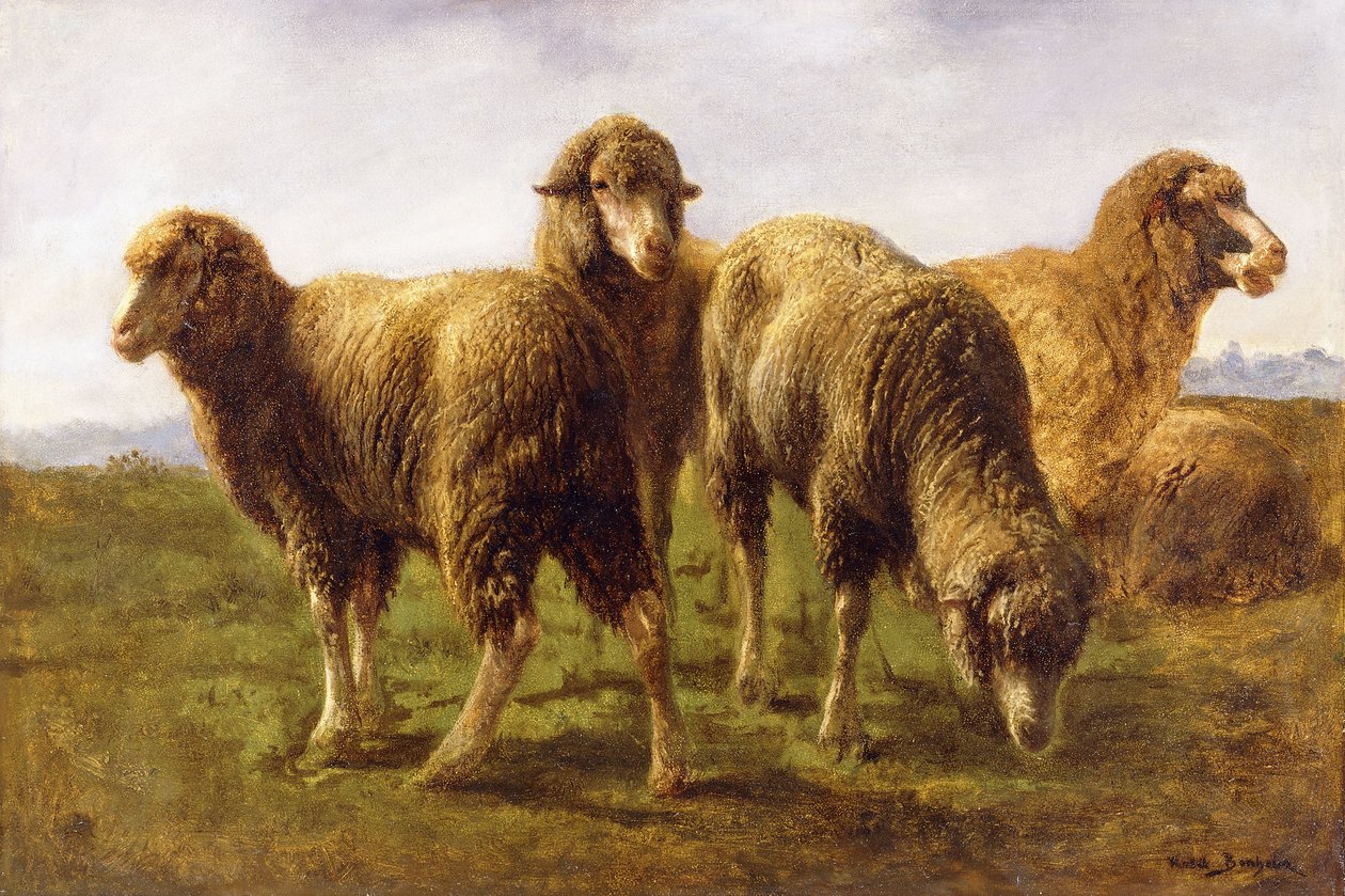 Pecore al pascolo in un prato da Rosa Bonheur