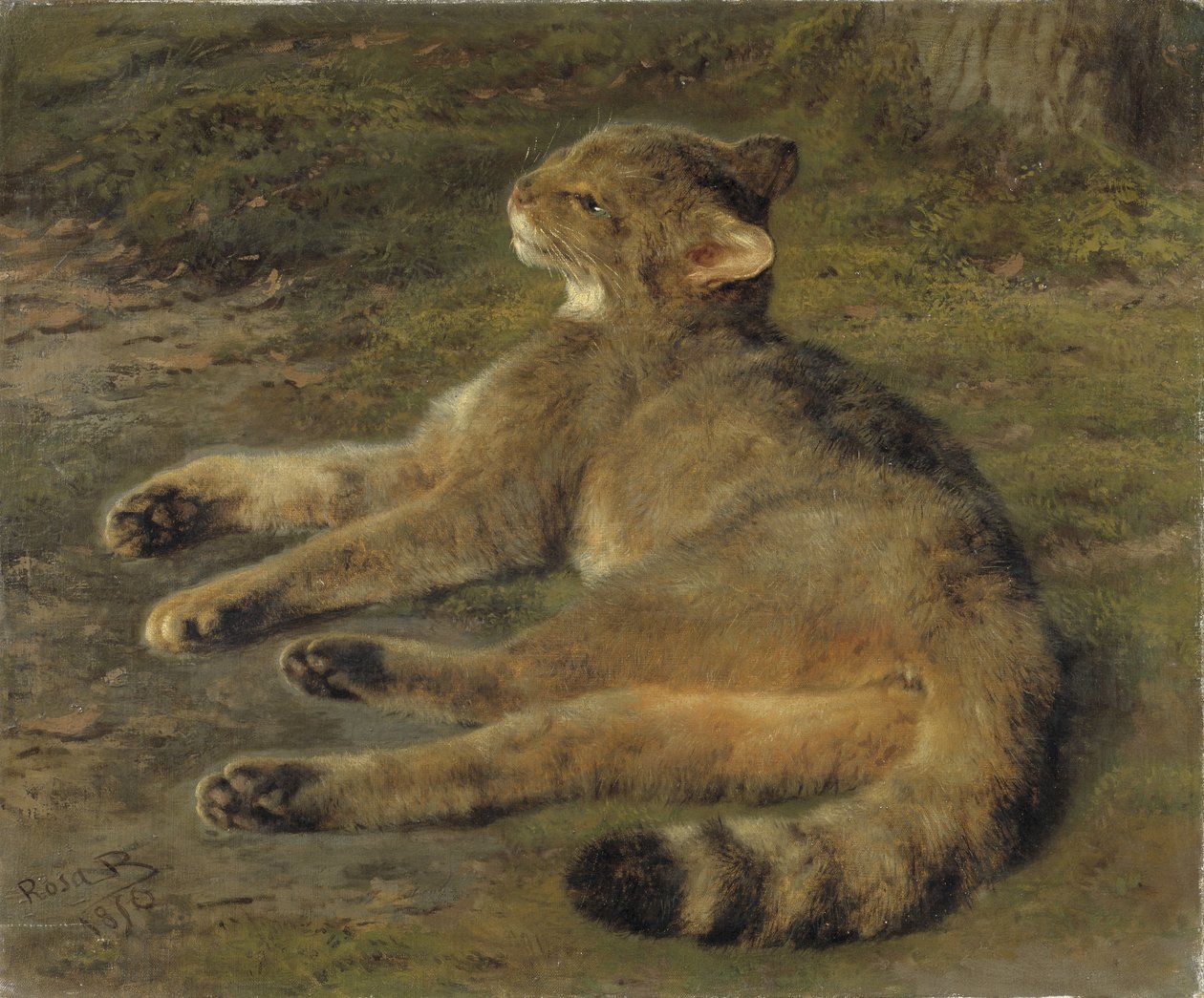 Gatto selvatico, 1850 da Rosa Bonheur