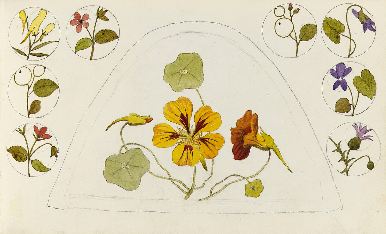 Disegni con nasturzi e altri fiori da Rosa Brett