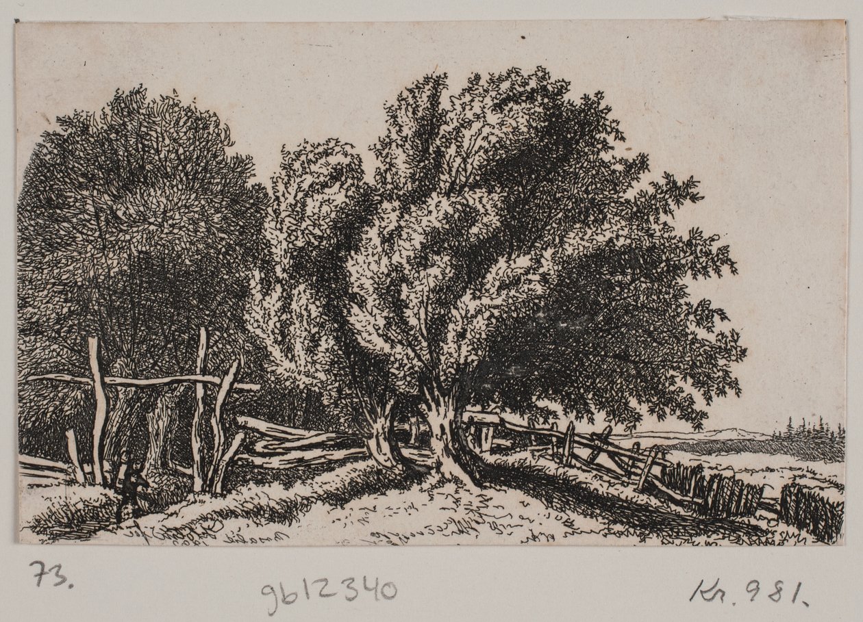Paesaggio da Rosalie Holm