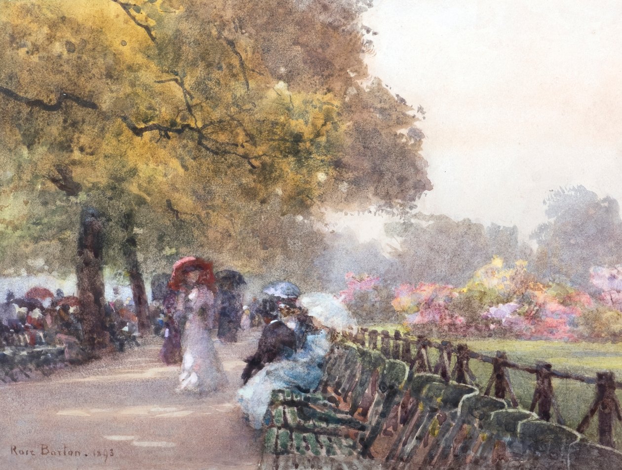 Azalee in Fiore - The Row da Rose Maynard Barton