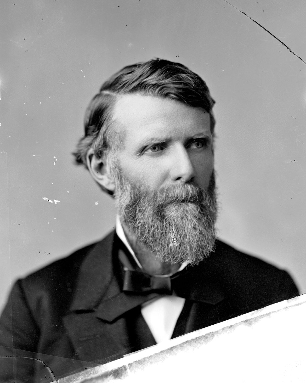 Governatore Pitkin da Rose and Hopkins Studio