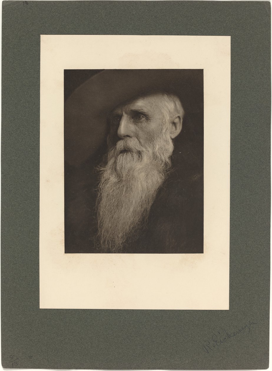 Il ranchero da Rudolf Eickemeyer Jnr