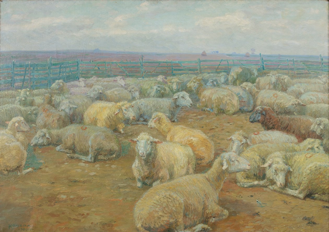 Parco delle pecore da Rudolf Konopa