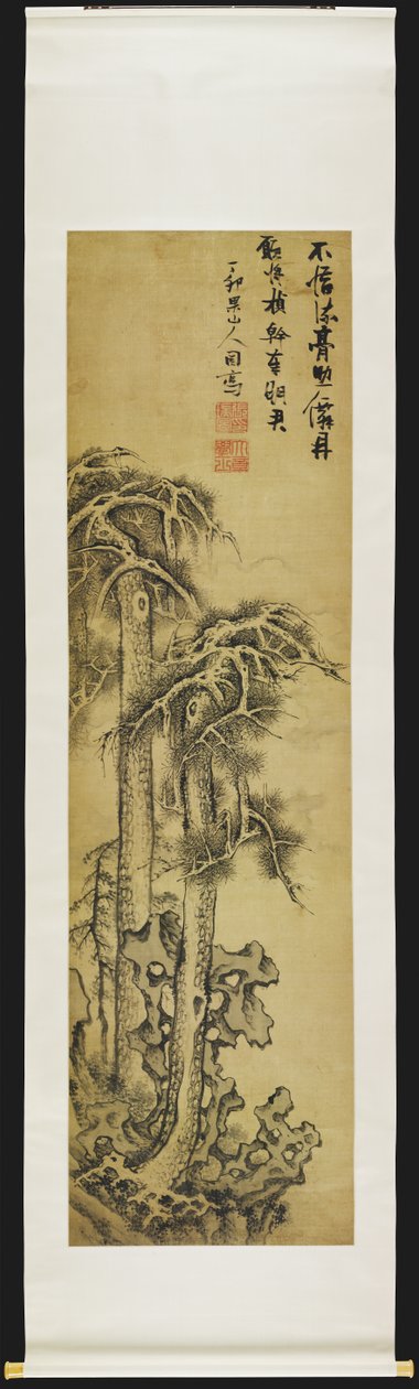 Pini nel paesaggio da Ruitu Zhang
