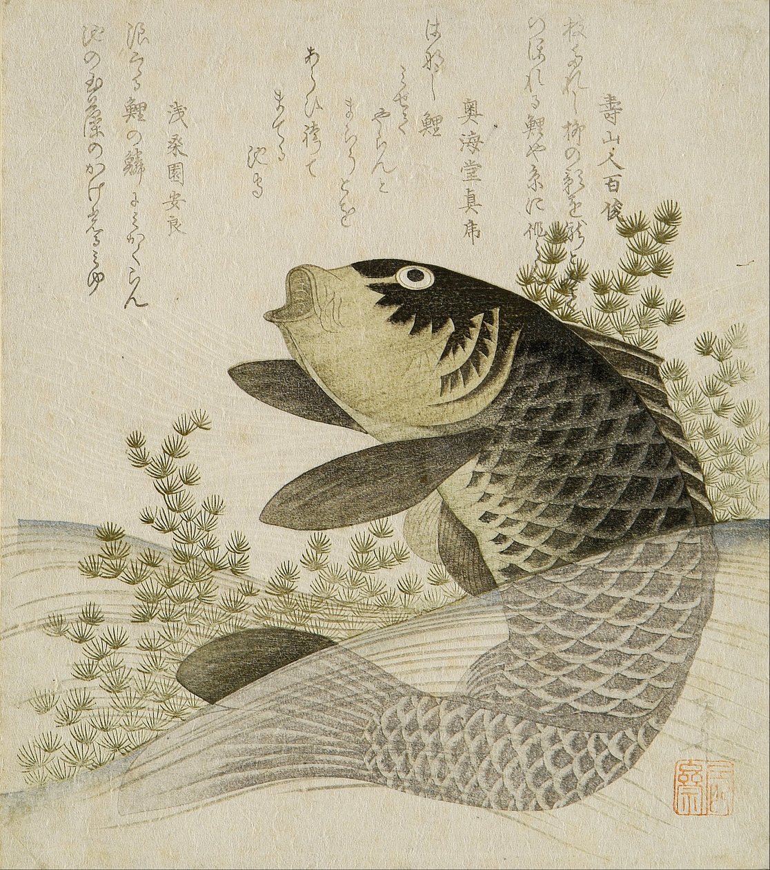 Carpe tra le piante dello stagno da Ryuryukyo Shinsai