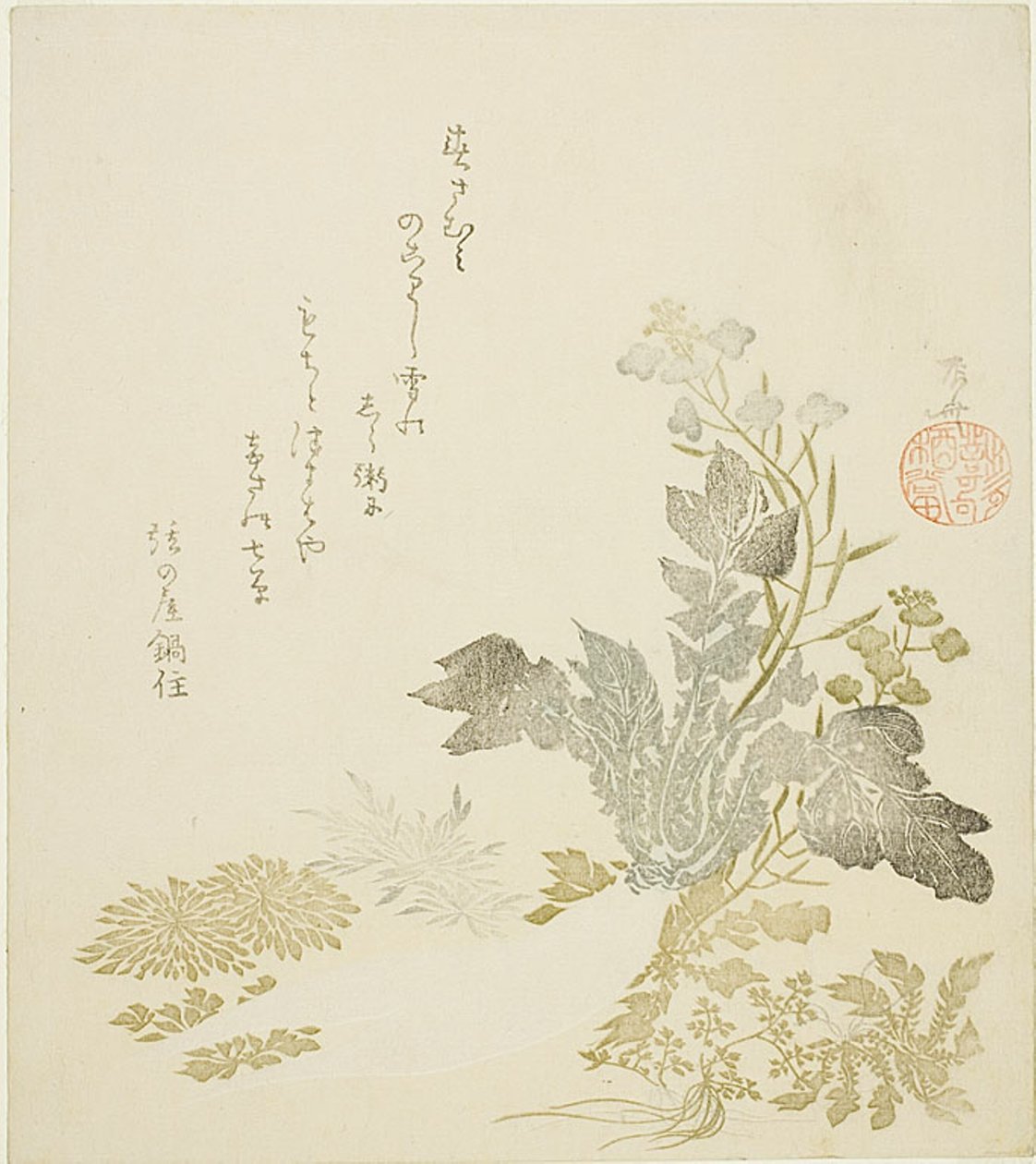 Un ravanello gigante (daikon), crisantemi e felci da Ryuryukyo Shinsai