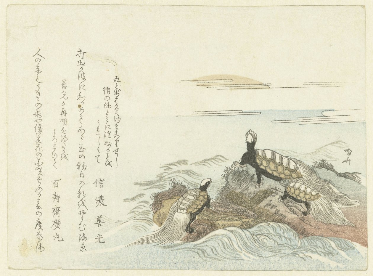 Tartarughe su una roccia da Ryuryukyo Shinsai