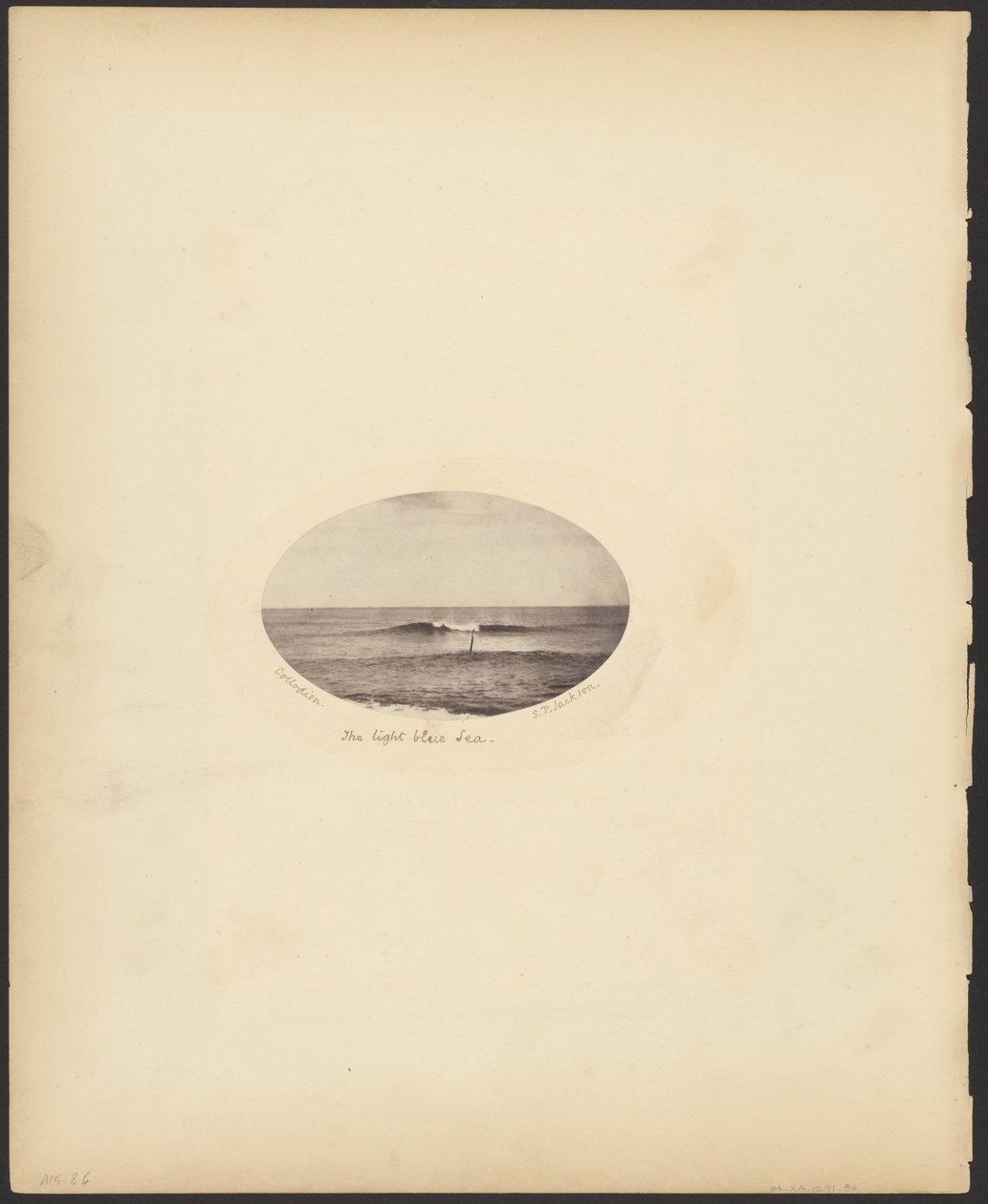 Il mare azzurro da S. P. Jackson