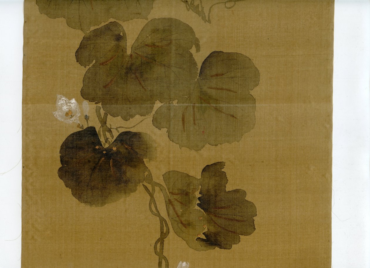 Fiore di zucca, scuola Rinpa, firma e sigillo di Sakai Hoitsu da Sakai Hoitsu