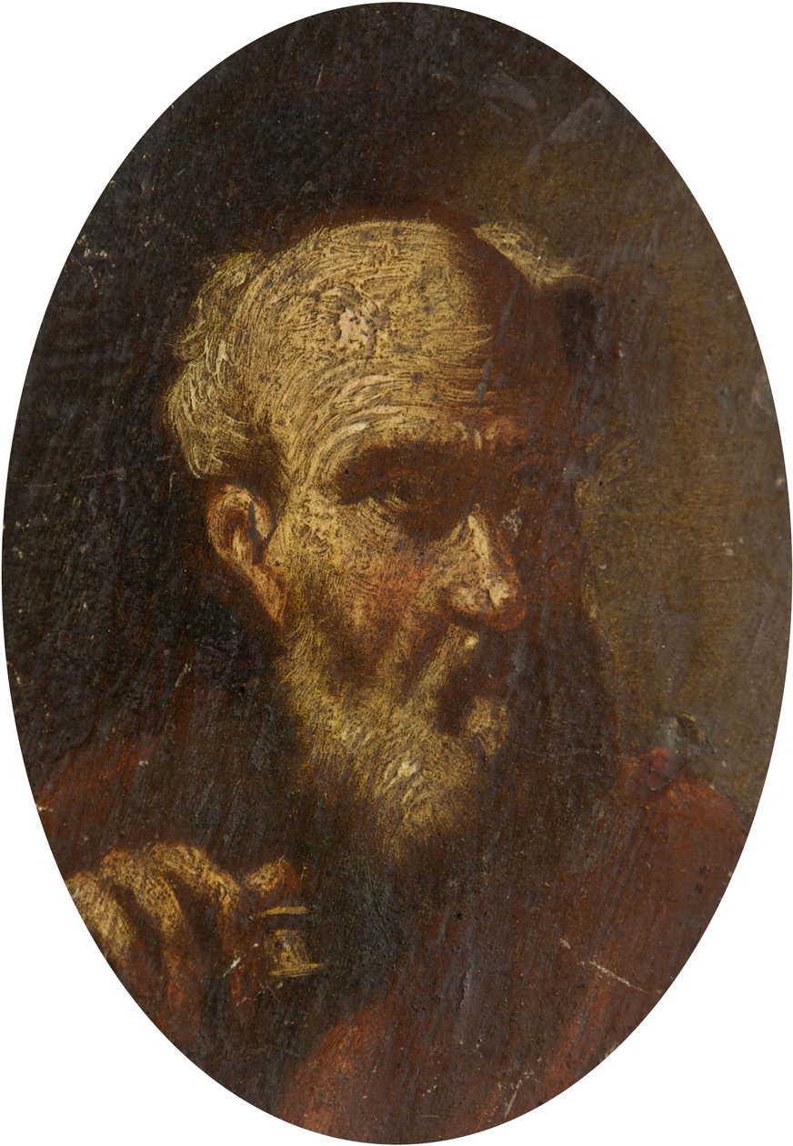 Testa di un vecchio da Salvator Rosa