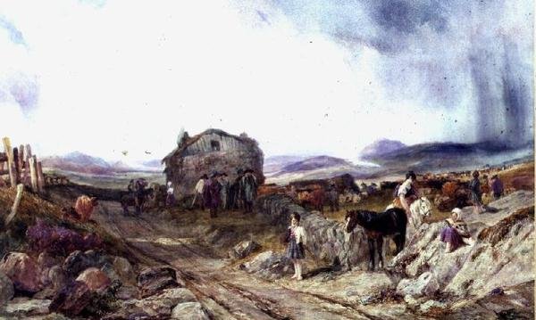 Una Fiera delle Highlands da Samuel Austin