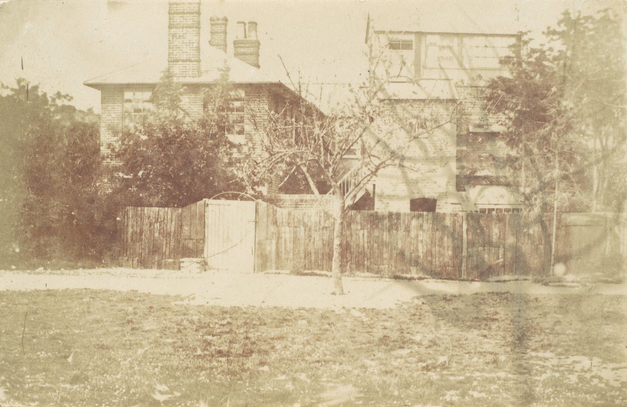Albero nel Cortile da Samuel Buckle