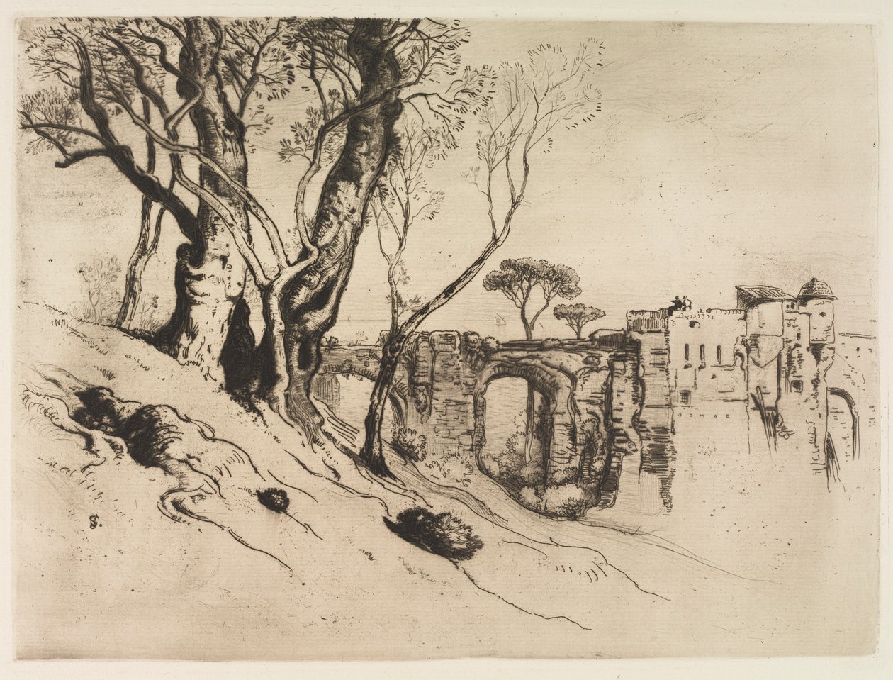 Ulivi della Riviera, c. 1875 da Samuel Colman