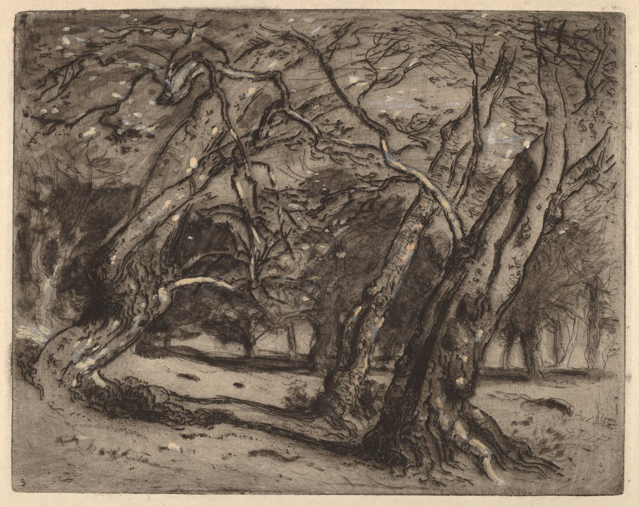 Senza titolo (Paesaggio boscoso) da Samuel Colman