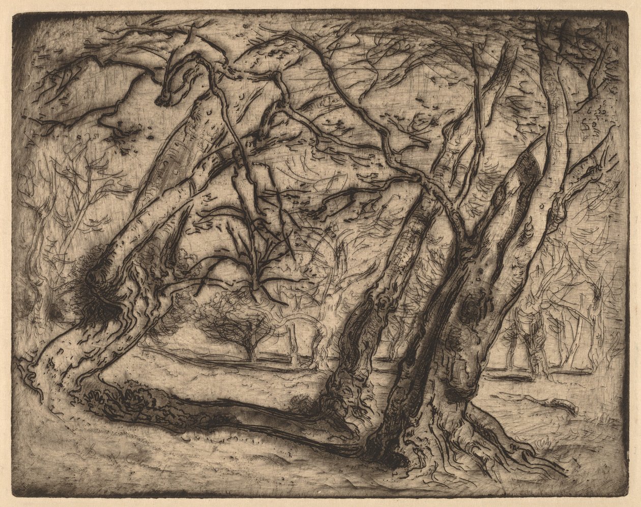 Senza titolo (paesaggio boscoso) da Samuel Colman