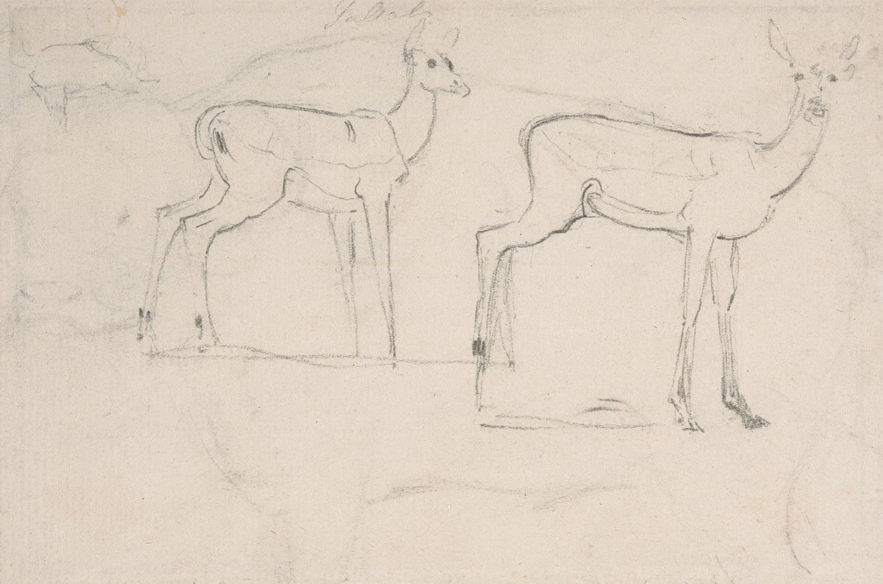 Studio per Due Pallah in Piedi da Samuel Daniell