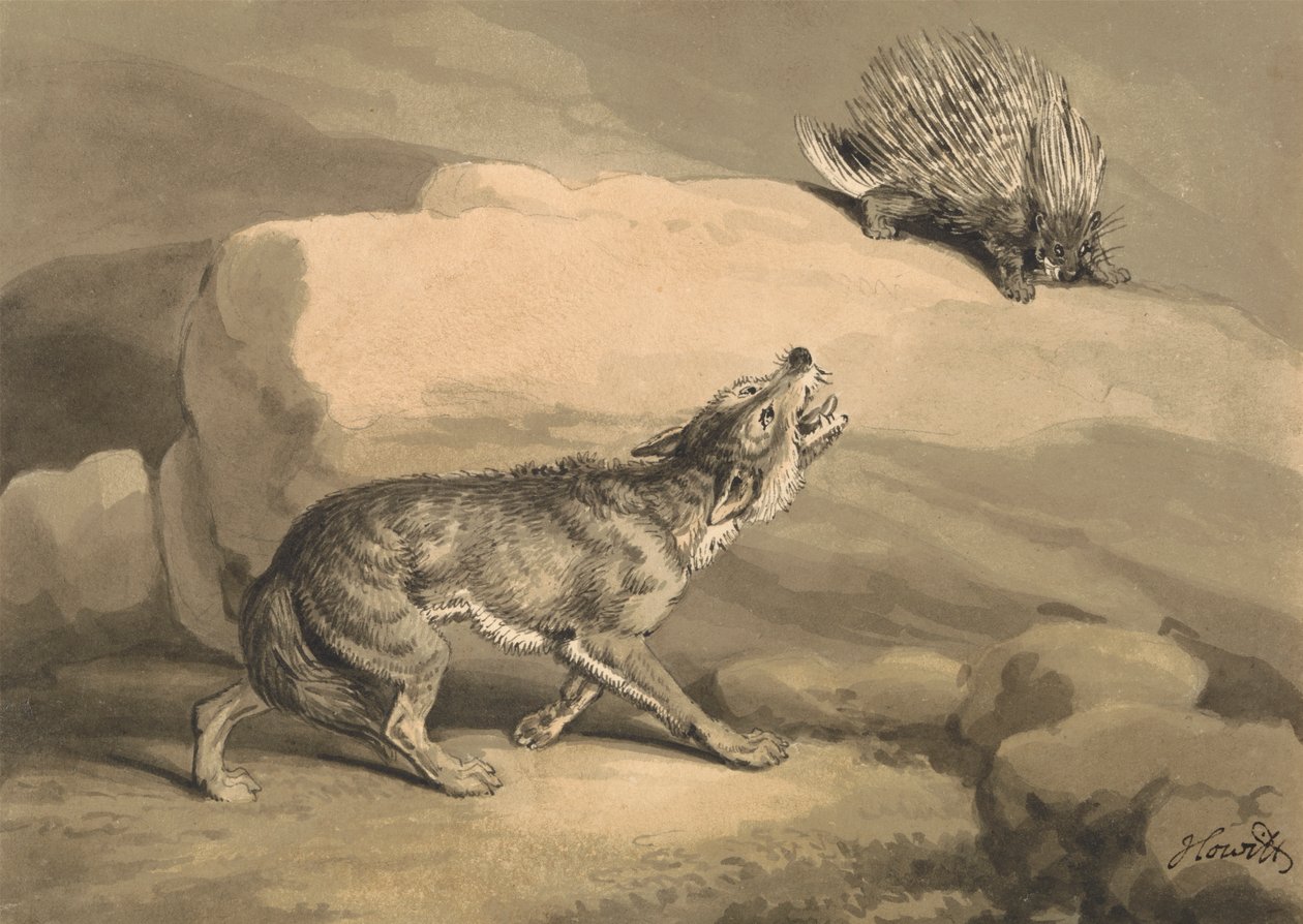 Volpe e il riccio (istrice) da Samuel Howitt