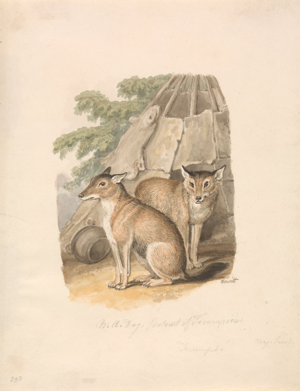 Due husky da Samuel Howitt