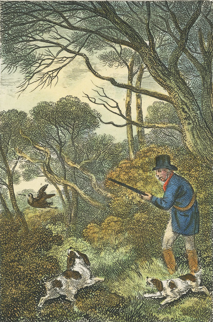 Caccia alla beccaccia, 1819 da Samuel Howitt