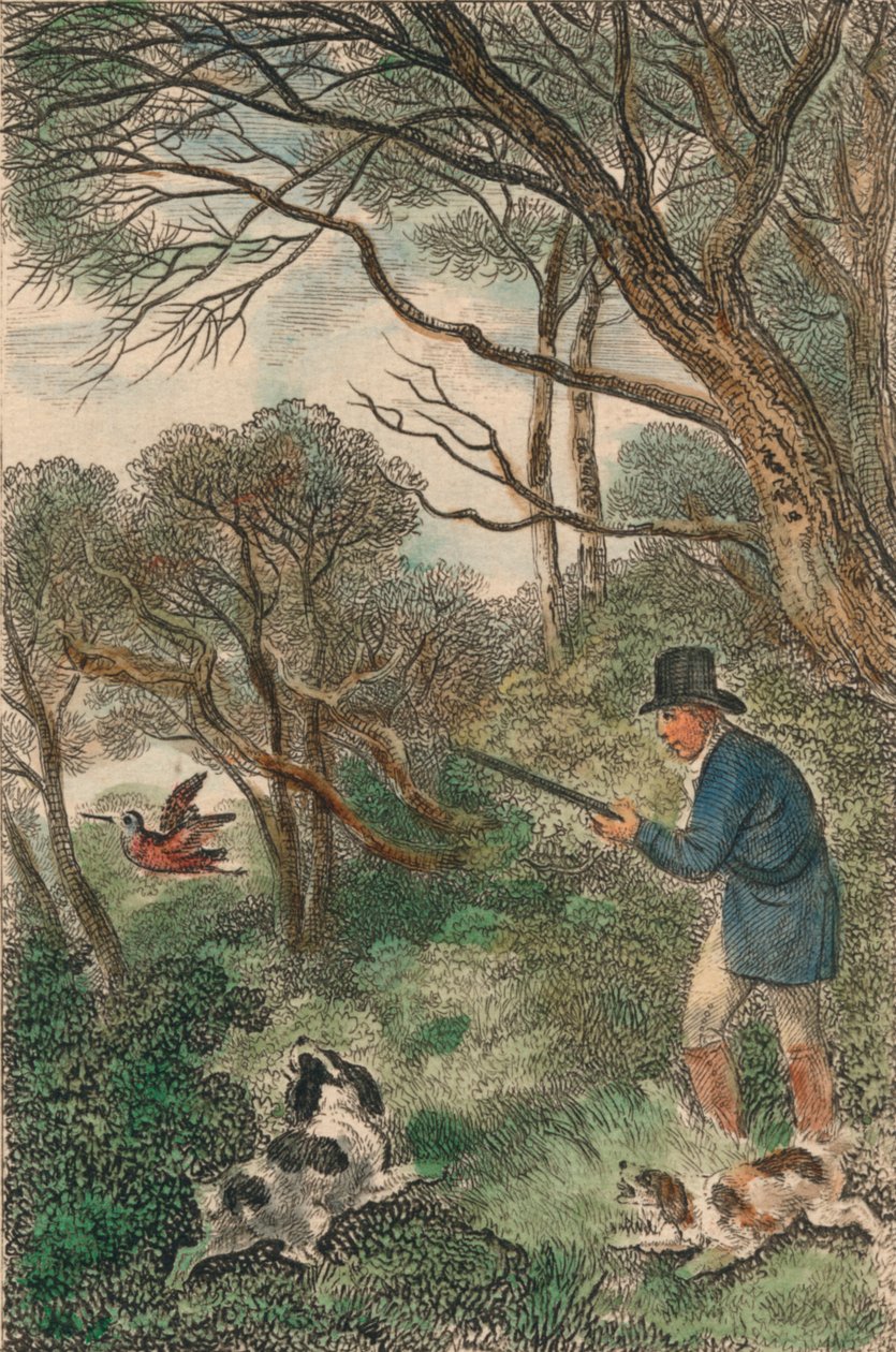 Caccia alla beccaccia, 1819 da Samuel Howitt